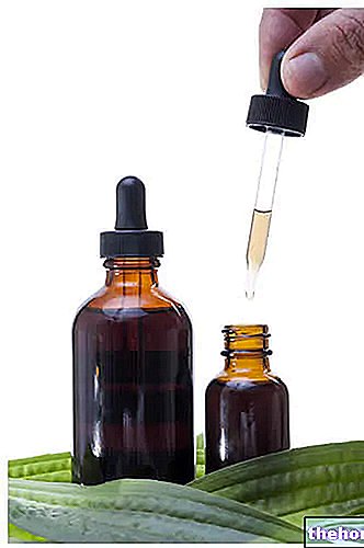 Tincture, mother tincture and macerate - pharmacognosy