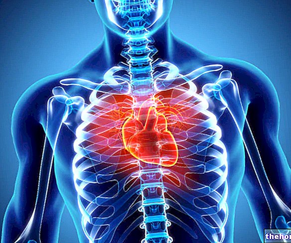Fiziološke prilagodbe srca kao odgovor na tjelesnu aktivnost - trening-fiziologija