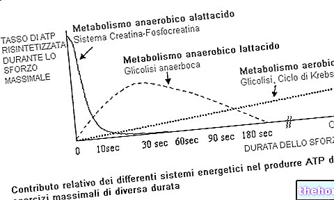 Анаеробни метаболизам лактацида - тренинг-физиологија