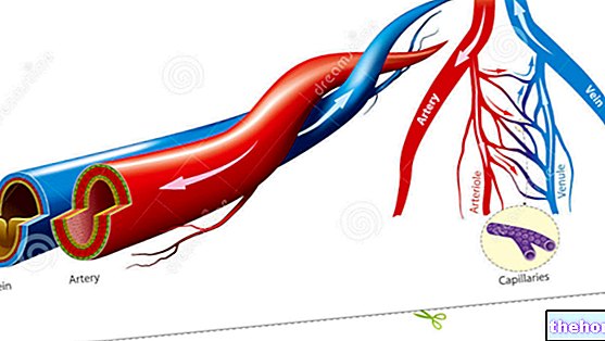 Arterijos ir arteriolės