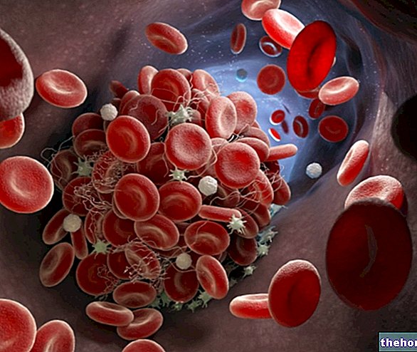 фізіології - Згортання крові: як згортається кров?