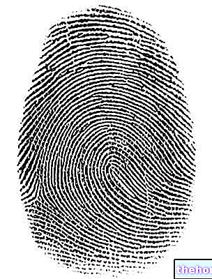 physiology - Fingerprints: What They Are and Characteristics