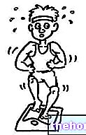 Sweat - physiology