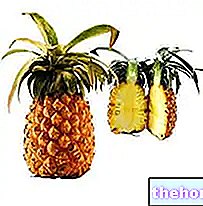 Ananass - botaaniline kirjeldus ja koostis - fütoteraapia