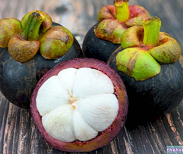Mangosteen: Properties and Uses - phytotherapy
