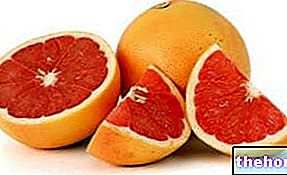 Grapefruit a léky - lékové interakce - fytoterapie