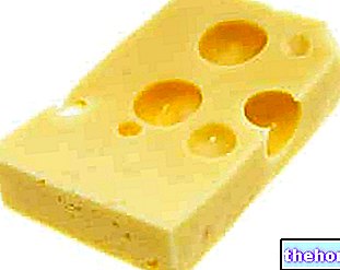 Lerdammer - juustoja