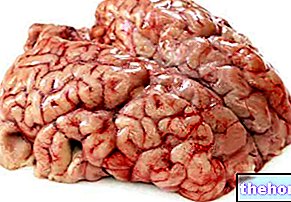 Otak sebagai Makanan - jeroan