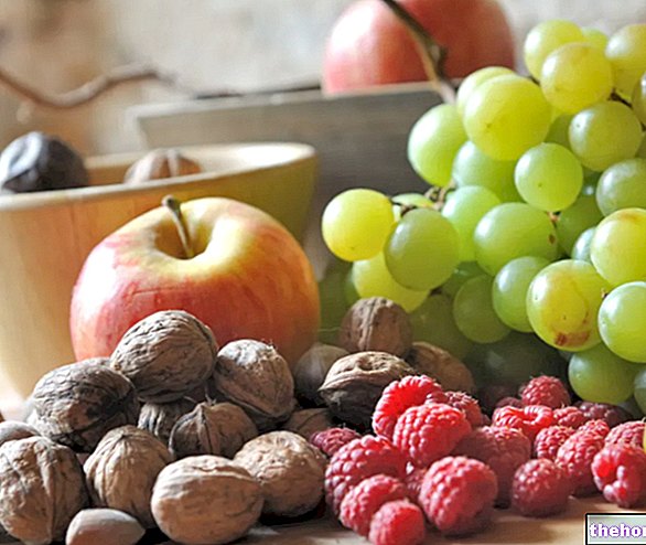 Tuoreet hedelmät ja kuivatut hedelmät: ravitsemukselliset ominaisuudet - kuivattu hedelmä