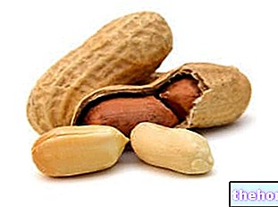 Kacang tanah: Sifat Pemakanan, Peranan dalam Makanan dan Cara Menggunakannya di Dapur - buah-buahan kering