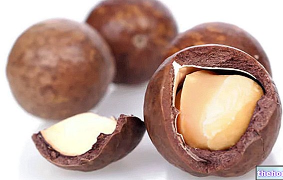 Makadamiapähkinöitä - kuivattu hedelmä