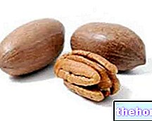 Kacang pecan - buah kering