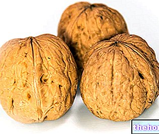 Kreeka pähklid - kuivatatud puuviljad