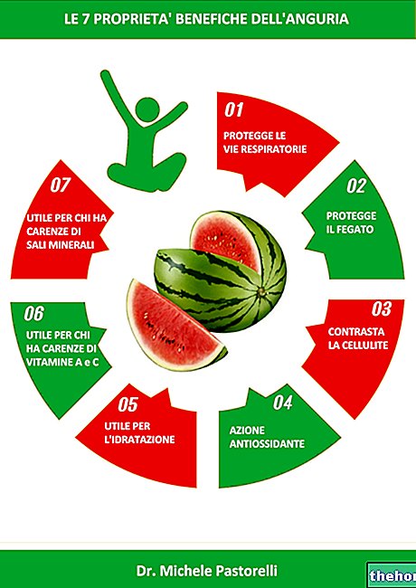Lubenica, svojstva lubenice - voće
