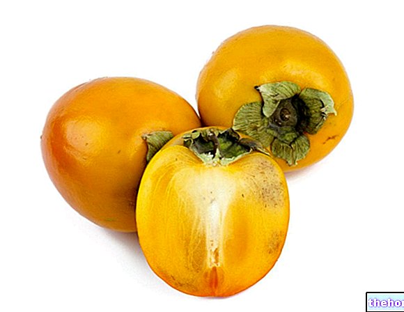 Persimmon kort fortalt, en oppsummering av egenskapene til persimmoner - frukt