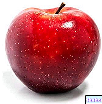 Apple: Ernæring og kost - frugt