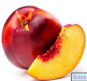Nectarines - fruit
