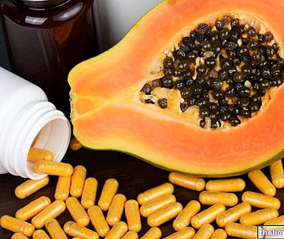 Fermented Papaya: Properties and How to Use It - fruit