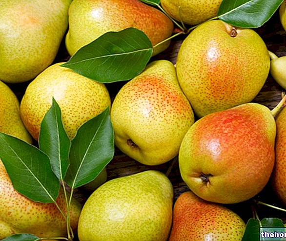Pears: Properties and Recipes - fruit