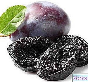 Plums - Dried Plums - fruit