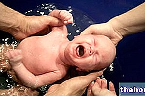 물속에서의 출산 - 임신