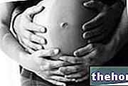 Raskauden ensimmäinen ja toinen kolmannes - raskaus