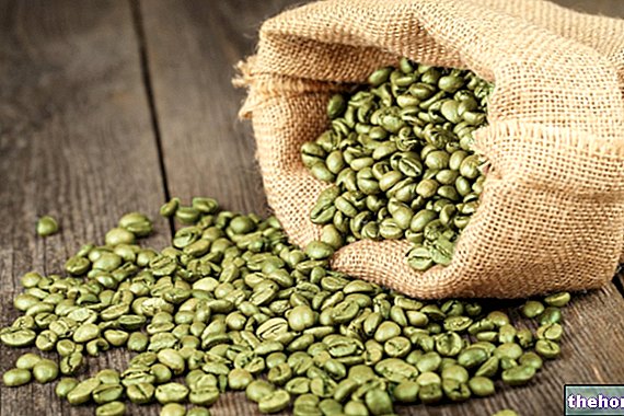 Uzgoj sirove zelene kave i prijevara - prirodni dodaci