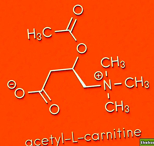 아세틸-L-카르니틴 - 스포츠 보충제