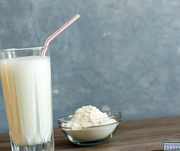 우유의 단백질 - 스포츠 보충제