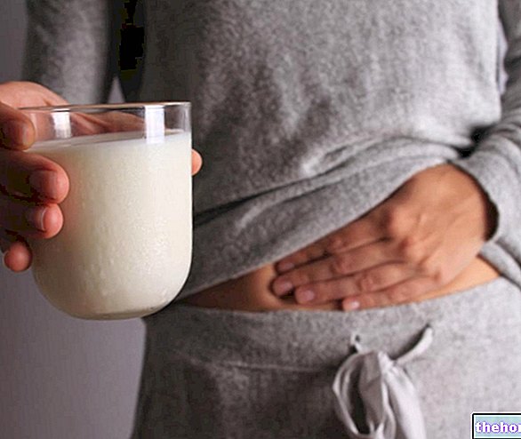 Lait sans lactose - intolérance alimentaire