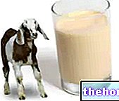 Goat's milk: nutritional and organoleptic aspects