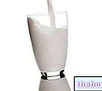 Мляко: Хранителни свойства - мляко и производни
