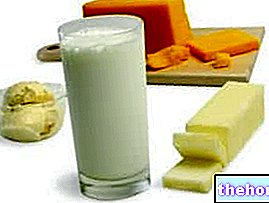 Mejeriprodukt - mælk og derivater