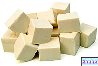 Salva Cremasco BOB - mjölk och derivat