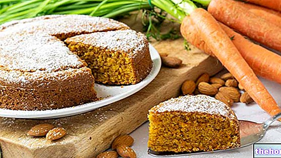 alice-recipes - Raw Food Cake with Carrots and Nuts