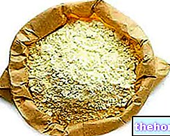 Mąka z ciecierzycy - rośliny strączkowe