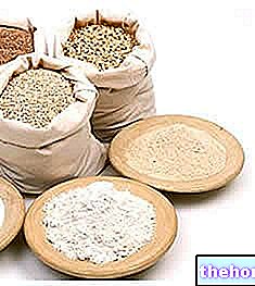 Mąka z soczewicy - rośliny strączkowe