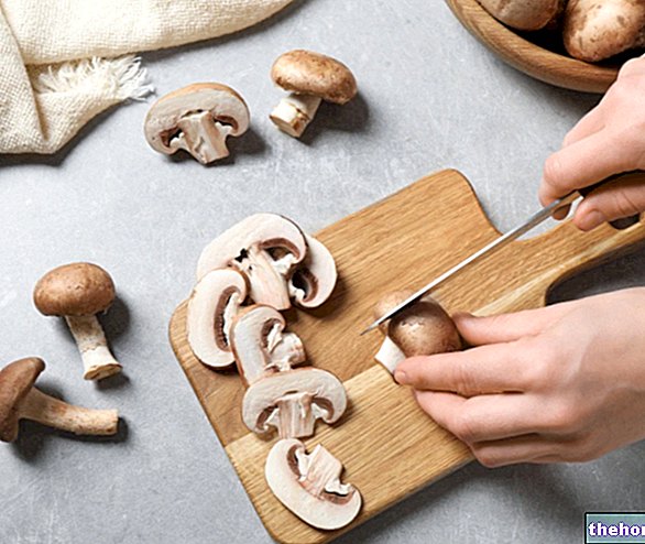 Edible Mushrooms: What Are They? Nutritional Properties, Role in Diet and How to Cook Them - food-related diseases
