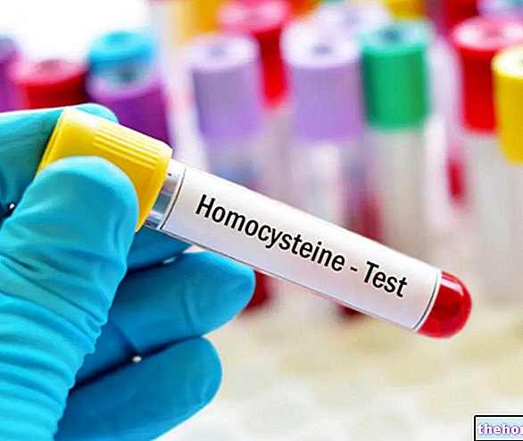 Homocysteine ​​Values: When and Why to Take the Exam - cardiovascular diseases