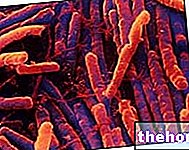 Clostridium difficile - užkrečiamos ligos