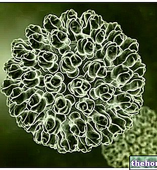 Rotavirus - nalezljive bolezni