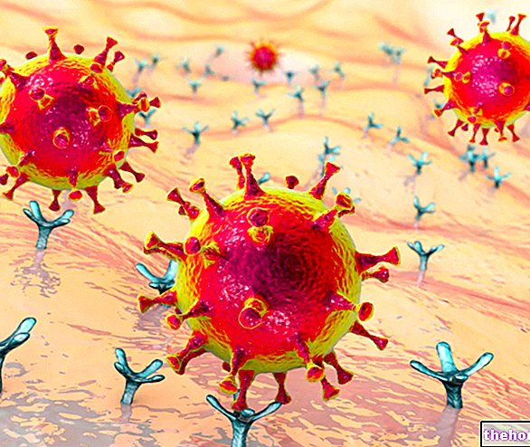 SARS-CoV-2: uue koroonaviiruse struktuur, valgud ja patogenees