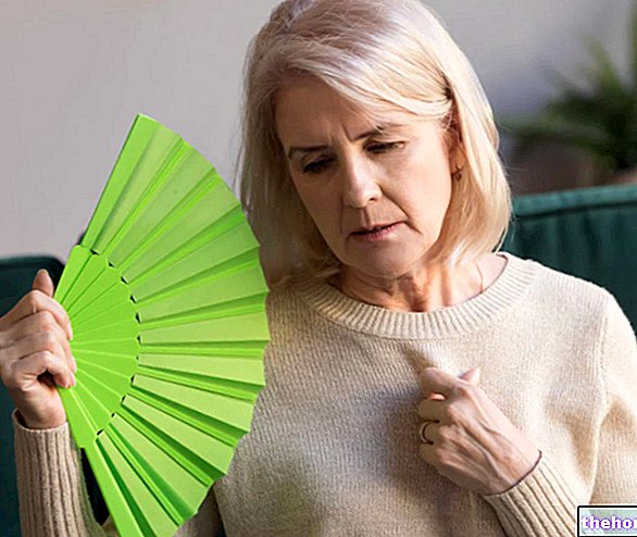 Hormoni in menopavza: Kako se spreminja hormonska aktivnost - menopavza