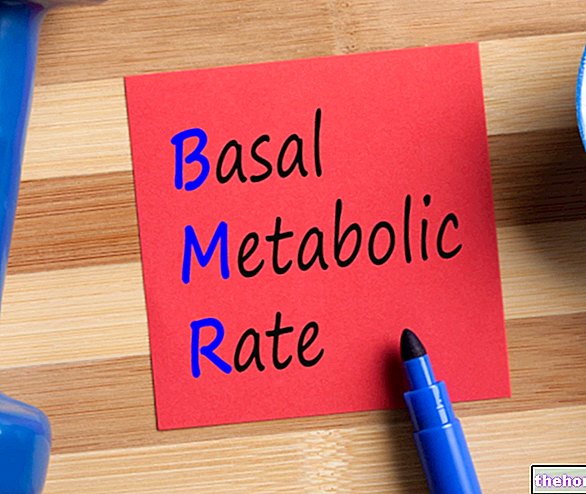 Energy Requirement and Basal Metabolism
