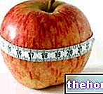The calories of food - nutrition
