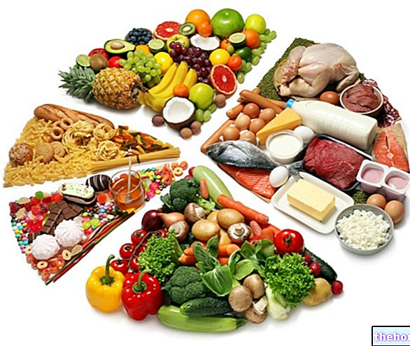 Nutrients: What Are The Most Important And What They Are Used For - nutrition