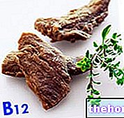 Vitamín B12 - výživa