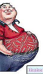 Graisse viscérale - obésité