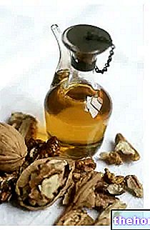 Walnut oil - oils-and-fats