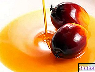 Palm oil - oils-and-fats